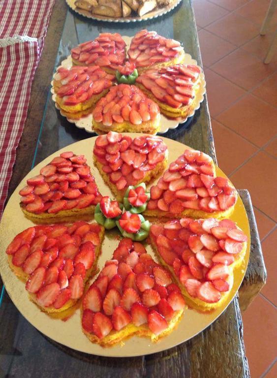 Il Bruco Hotel Fiumalbo Luaran gambar
